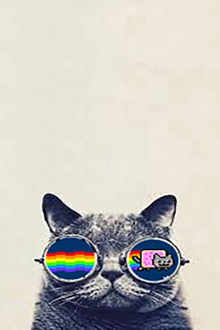 Hipster-Nyan Cat