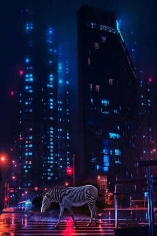 Phoneky Zebra 4k خلفيات