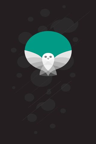 Birdy: The Minimalist Owl
