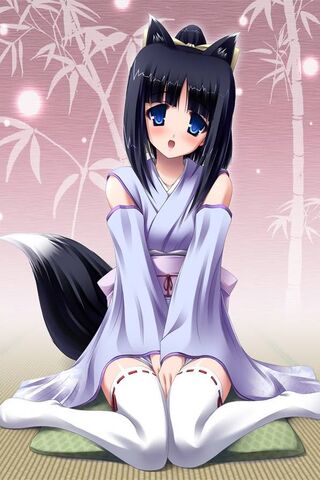 Cute Kitty Wallpaper - Download to your mobile from PHONEKY