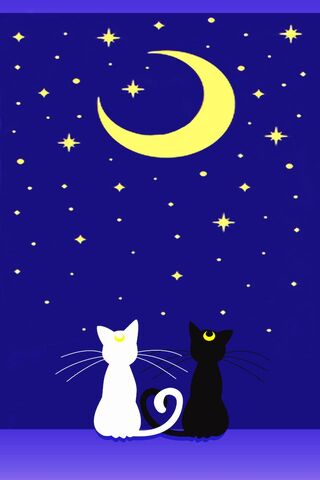 Moonlit Whiskers: A Sailor's Night