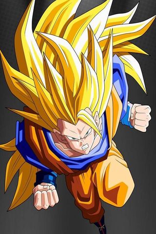 Goku Ssj3