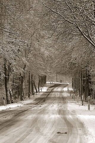 Winter's Embrace: A Journey Through White