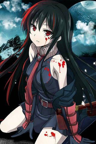 Akame Ga Kill-Akame