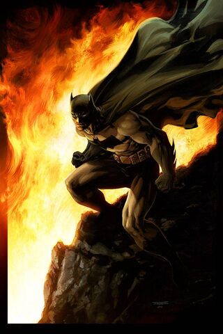 The Dark Knight Rises: ..