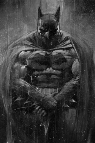 The Dark Knight Rises: ..