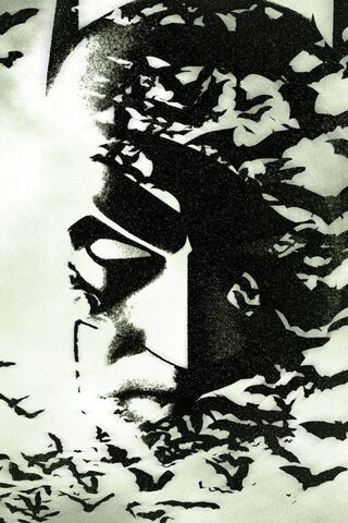 The Dark Knight's Shado..