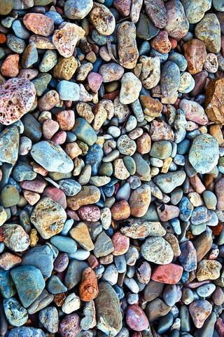 Nature's Colorful Mosai..