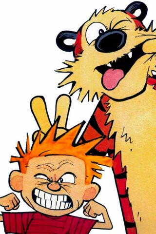 Calvin ve Hobbes