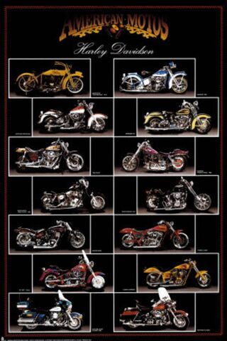 The Legacy of Harley: A..