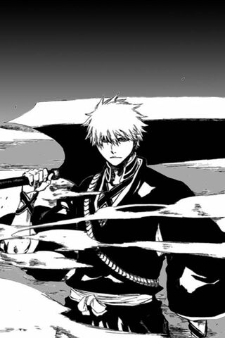 The Soul Reaper's Resol..