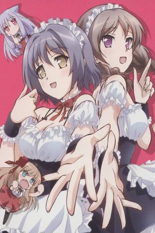 Mayoi Neko Overrun