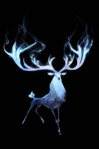 Mystical Majesty: The E..