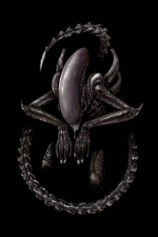 The Enigmatic Alien: A ..