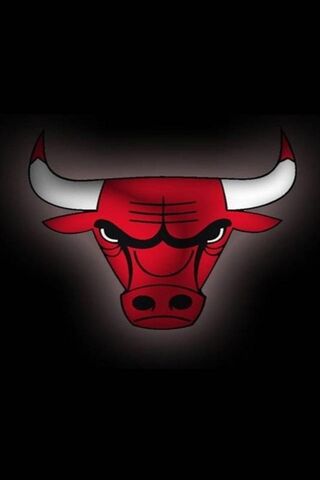 Bulls