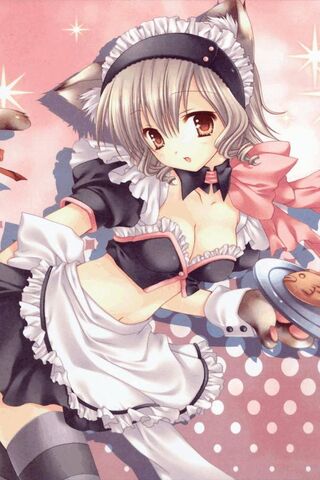 Neko Maid