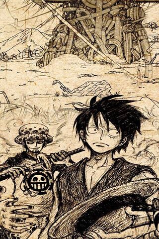 Luffy and Law