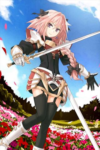 404982 anime, anime girl, Astolfo (Fate/Apocrypha), Astolfo, Astolfo  (Fate/Grand Order), Fate/Grand Order, FGO, Fate/Apocrypha wallpaper hd free  download, 1688x3000 - Rare Gallery HD Wallpapers