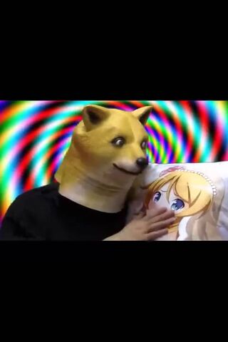 Dog Anime Pillow
