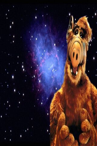 Alf