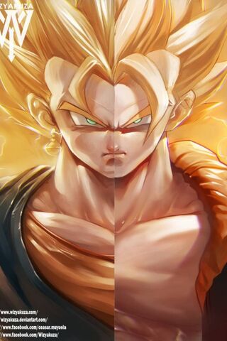 Vegeto Gogeta