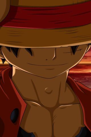 Luffy: The Future King ..