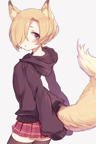 Cute Anime Girl Fox