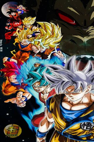 The Evolution of Goku: ..