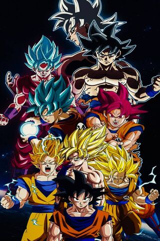 Son Goku Evolutions