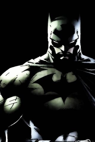 Dark Knight Unleashed: ..