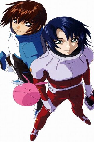 Destined Heroes: A New Era in Gundam Seed Destiny