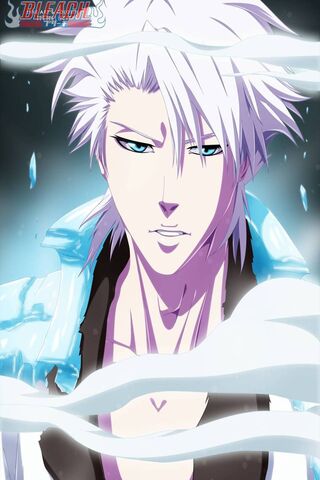 Frozen Resolve: The Spirit of Bleach
