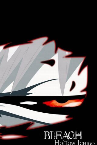 The Mask of Shadows: Hollow Ichigo Unleashed