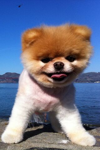 Boo-tiful Day by the Wa..