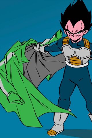 Vegeta Unleashed: The Saiyan Warrior's Transformation! 💥