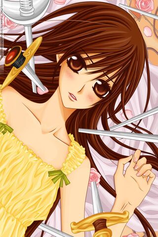 Yuki: The Blossom Warri..