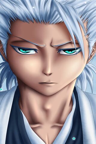The Ice Captain: Toshiro Hitsugaya
