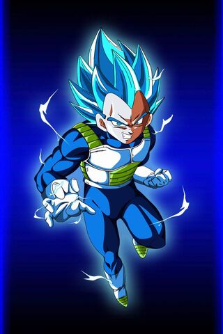 Vegeta: The Prince of P..