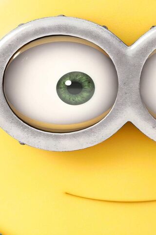 The Cheerful Minion: A ..