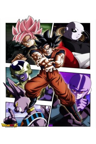 Goku's Ultimate Showdow..