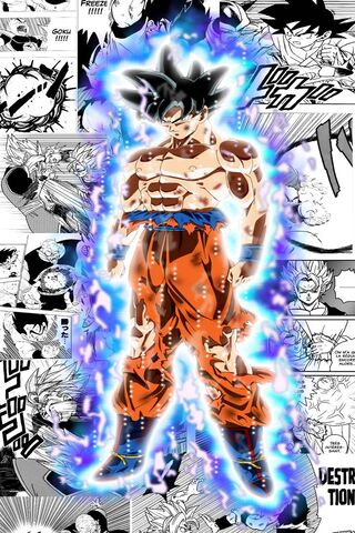 Goku's Ultimate Transfo..