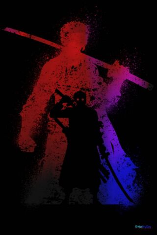 Zoro: The Shadow of a S..