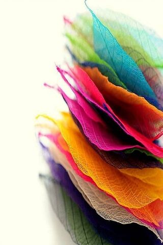 Colorful Whispers of Na..