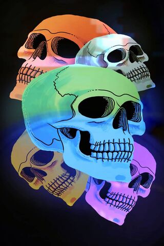 Colorful Echoes of Mayurdhvajsinh