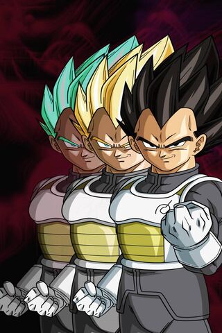 Vegeta: The Evolution o..
