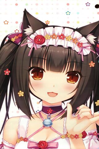 HD desktop wallpaper: Anime, Nekopara download free picture #400658