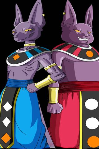 Cosmic Clash: Beerus vs. Champa Showdown! 🌌⚔️