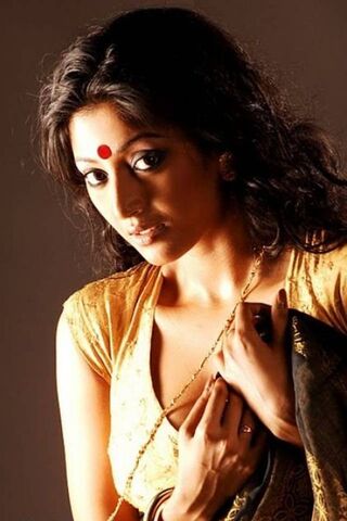 Elegance and Grace: The Essence of Paoli Dam