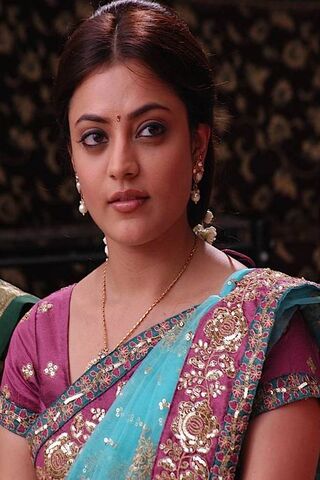 Elegance in Tradition: Nisha Agarwal's Graceful Charm