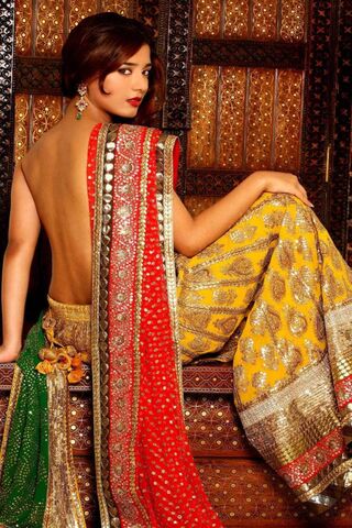 Elegance in Tradition: A Stunning Saree Showcase